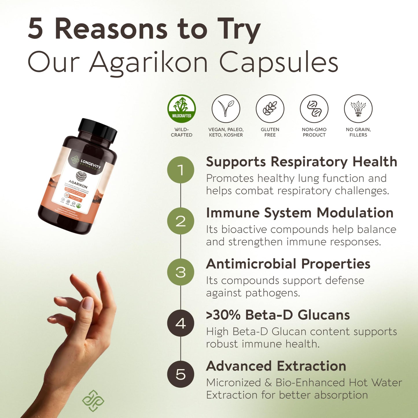 Longevity Botanicals Agarikon Mushroom Extract Capsules (120) – 10:1 Concentrate, 100% Fruiting Bodies
