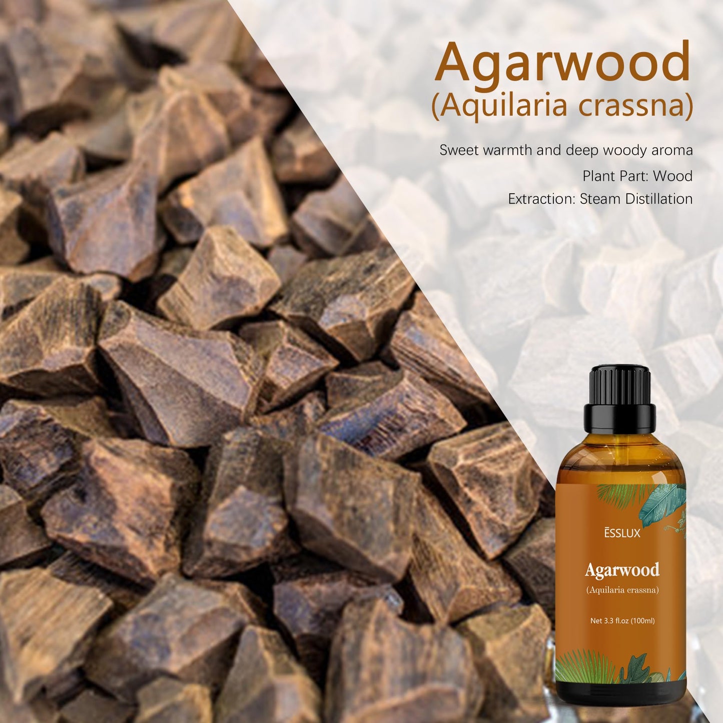 Agarwood Essential Oil 100 ml | Oud Oil by ESSLUX – Aromatherapy for Diffuser, Massage, Soap, Candle Making, Perfume