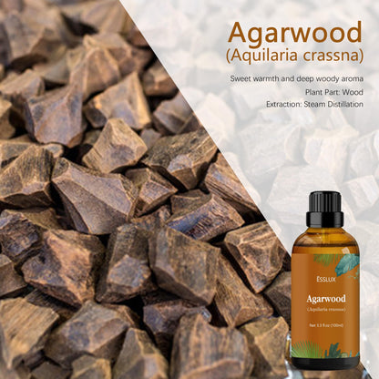 Agarwood Essential Oil 100 ml | Oud Oil by ESSLUX – Aromatherapy for Diffuser, Massage, Soap, Candle Making, Perfume