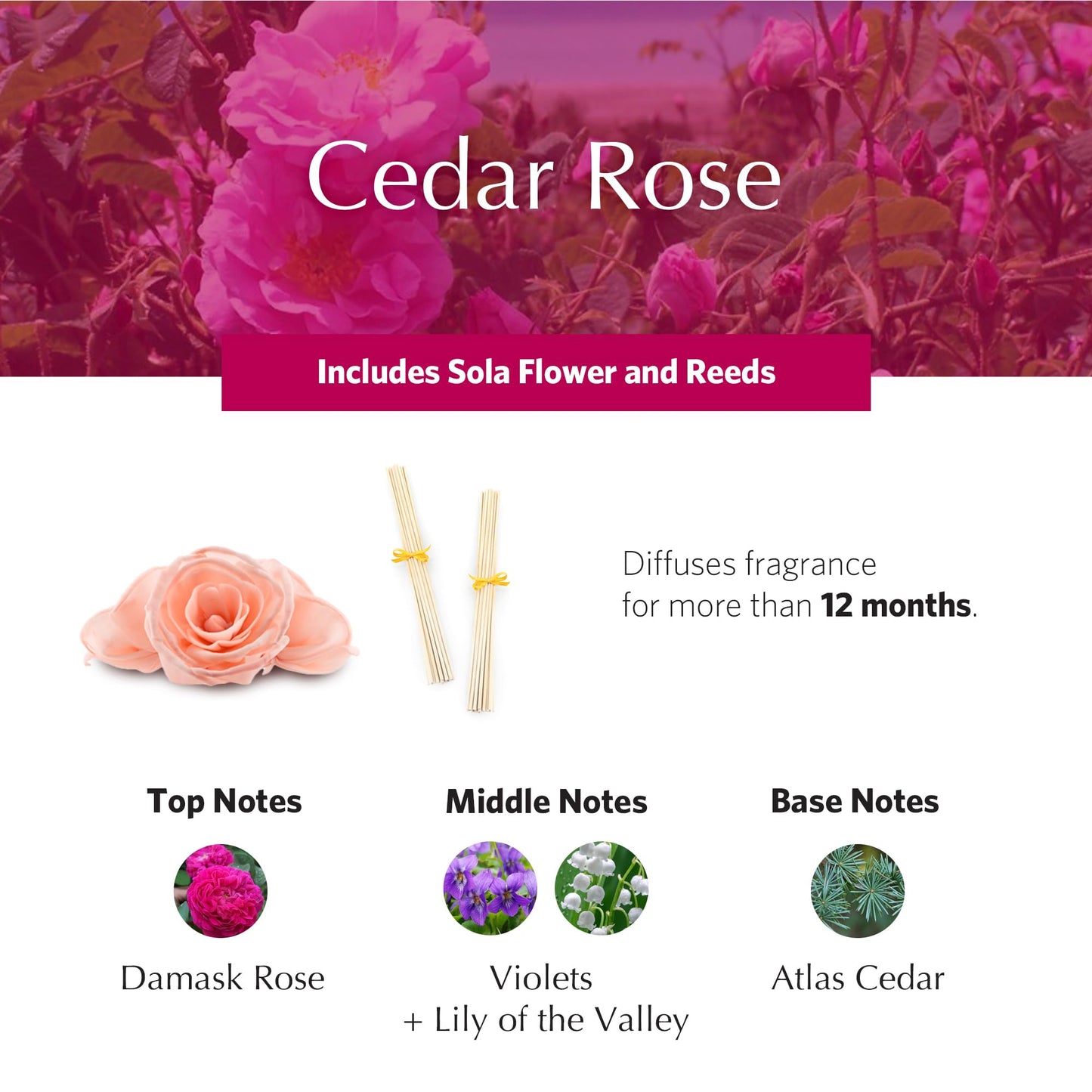 AGRARIA AirEssence Flower & Reed Diffuser Set – Handmade Sola Flower Home Fragrance