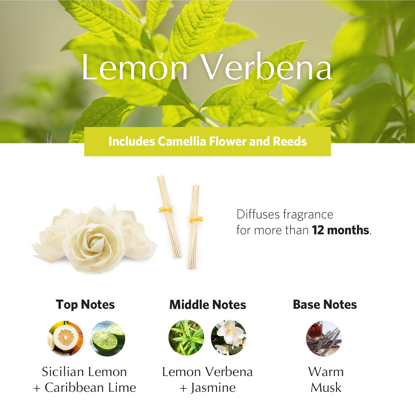AGRARIA AirEssence Flower & Reed Diffuser Set – Handmade Sola Flower Luxury Home Fragrance