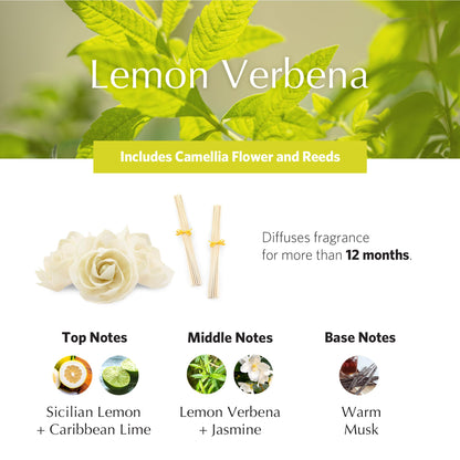 AGRARIA AirEssence Flower & Reed Diffuser Set – Handmade Sola Flower Luxury Home Fragrance