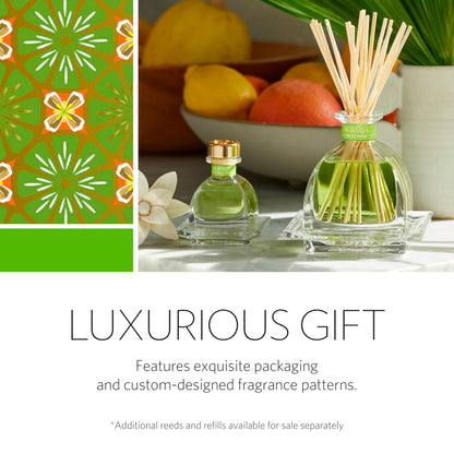 AGRARIA AirEssence Flower and Reed Diffuser Set – Handmade Sola Flower Home Fragrance