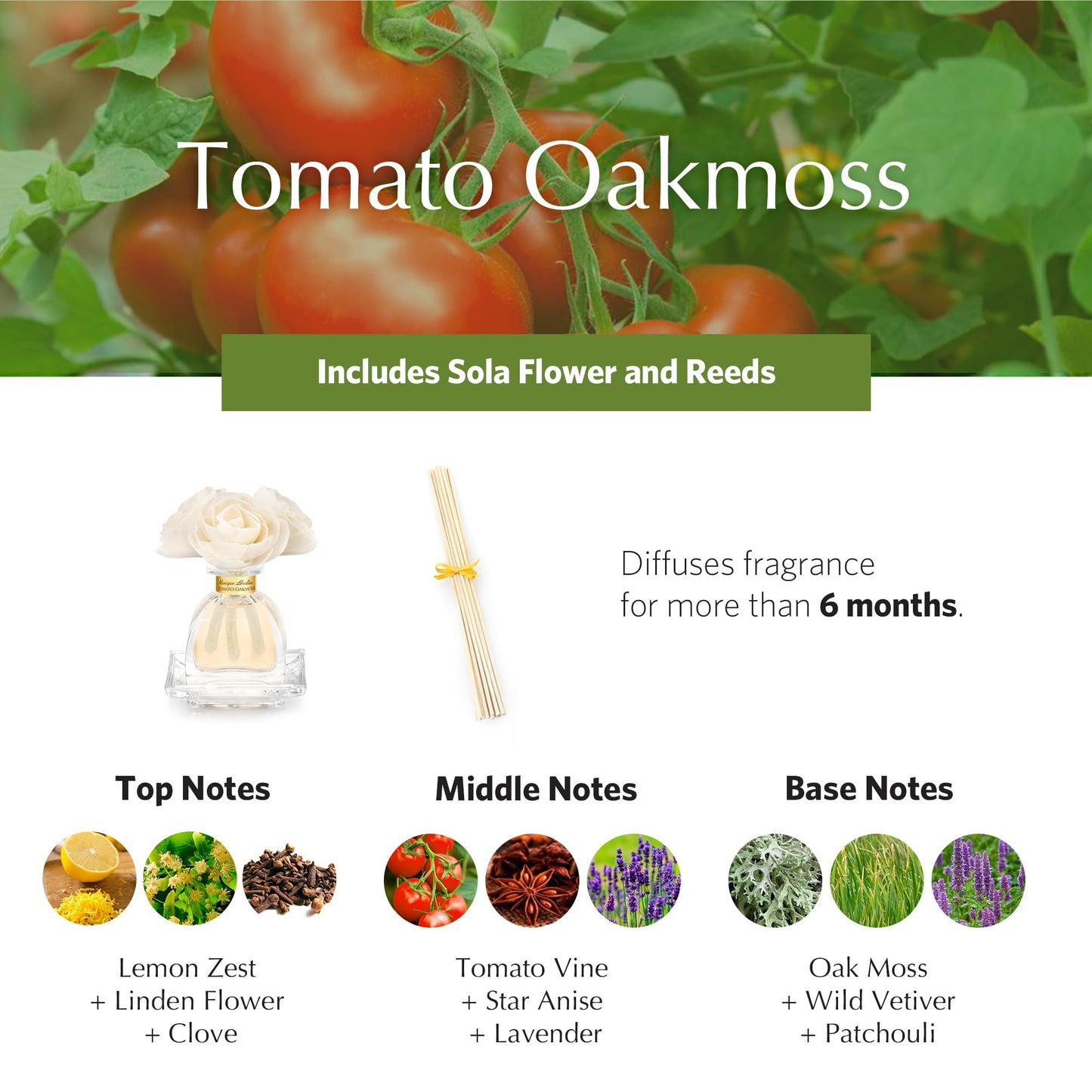 Agraria Monique Lhuillier Tomato Oakmoss PetiteEssence Reed Diffuser 1.7 oz