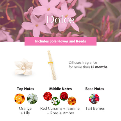 AGRARIA PetiteEssence Flower & Reed Diffuser Set – Hand Crafted Sola Flowers