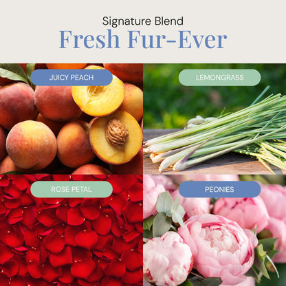 Air Esscentials Fresh Fur-Ever Aroma Oil – Pet-Preferred Pure Essential Oil for Diffusers | Juicy Peach & Lemongrass | 300mL