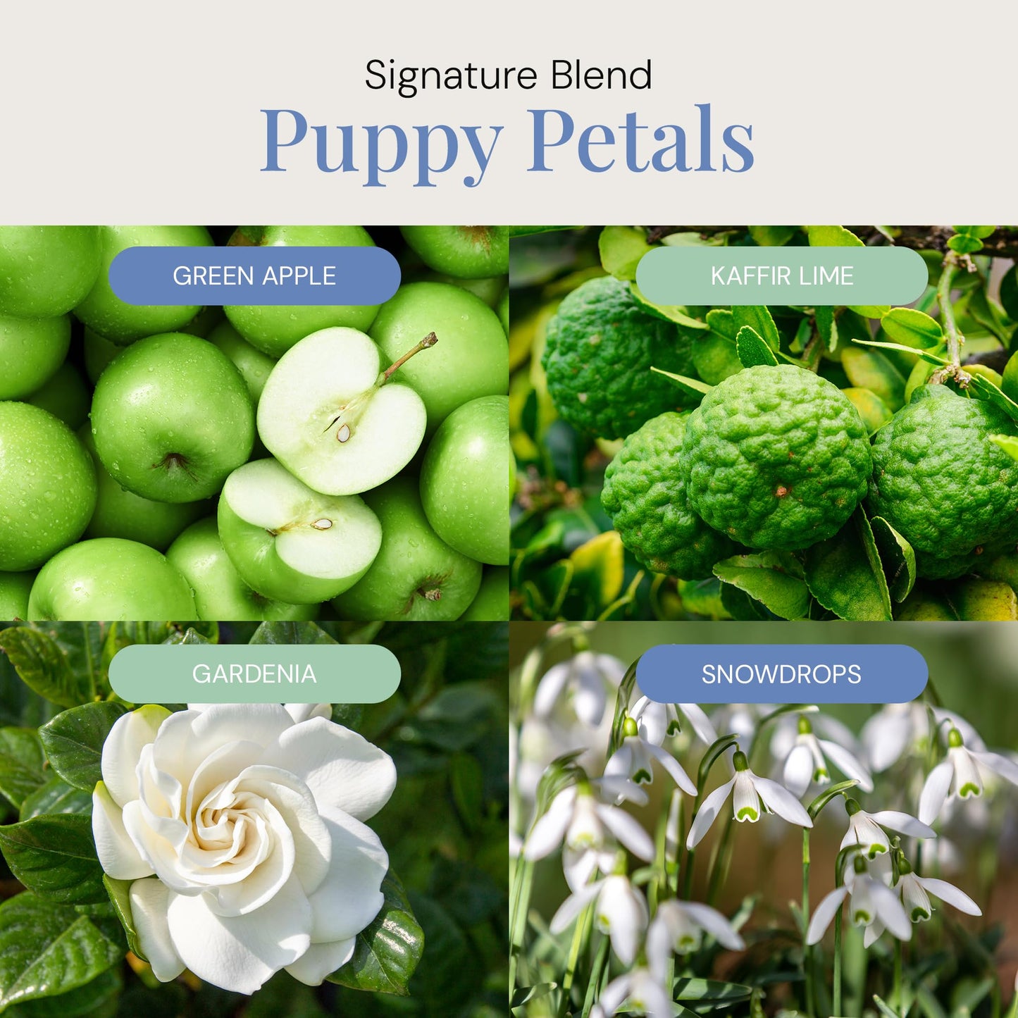 Air Esscentials Puppy Petals Aroma Oil – Pet-Preferred 300mL for Diffusers