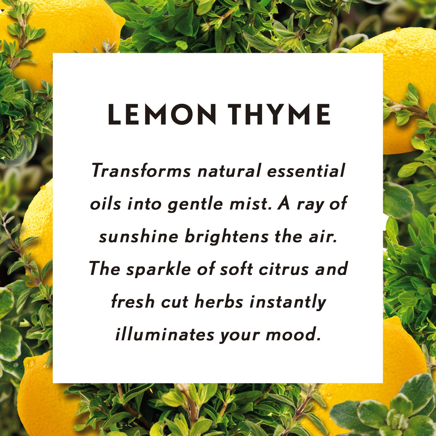 Air Wick Essential Mist Lemon Thyme Refill – 1ct | Essential Oil Diffuser