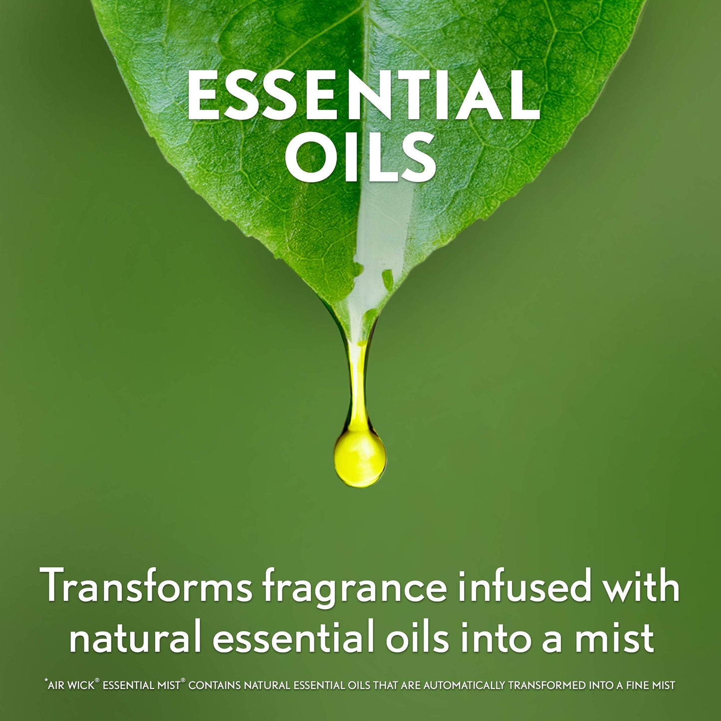 Air Wick Essential Mist Lemon Thyme Refill – 1ct | Essential Oil Diffuser