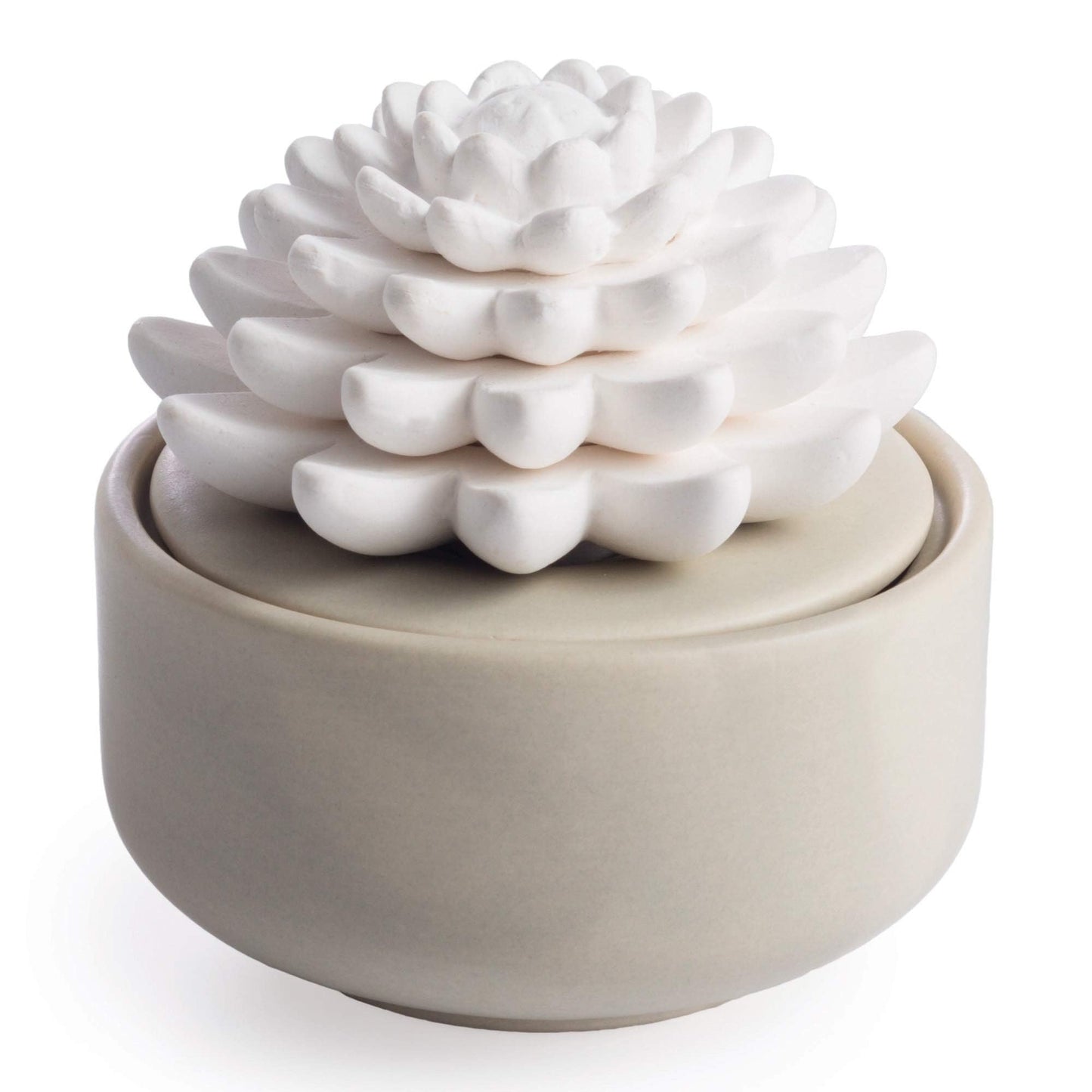 Airomé White Succulent Porcelain Passive Diffuser – Non-Electric, 15ml Peppermint Oil Included
