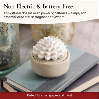 Airomé White Succulent Porcelain Passive Diffuser – Non-Electric, 15ml Peppermint Oil Included