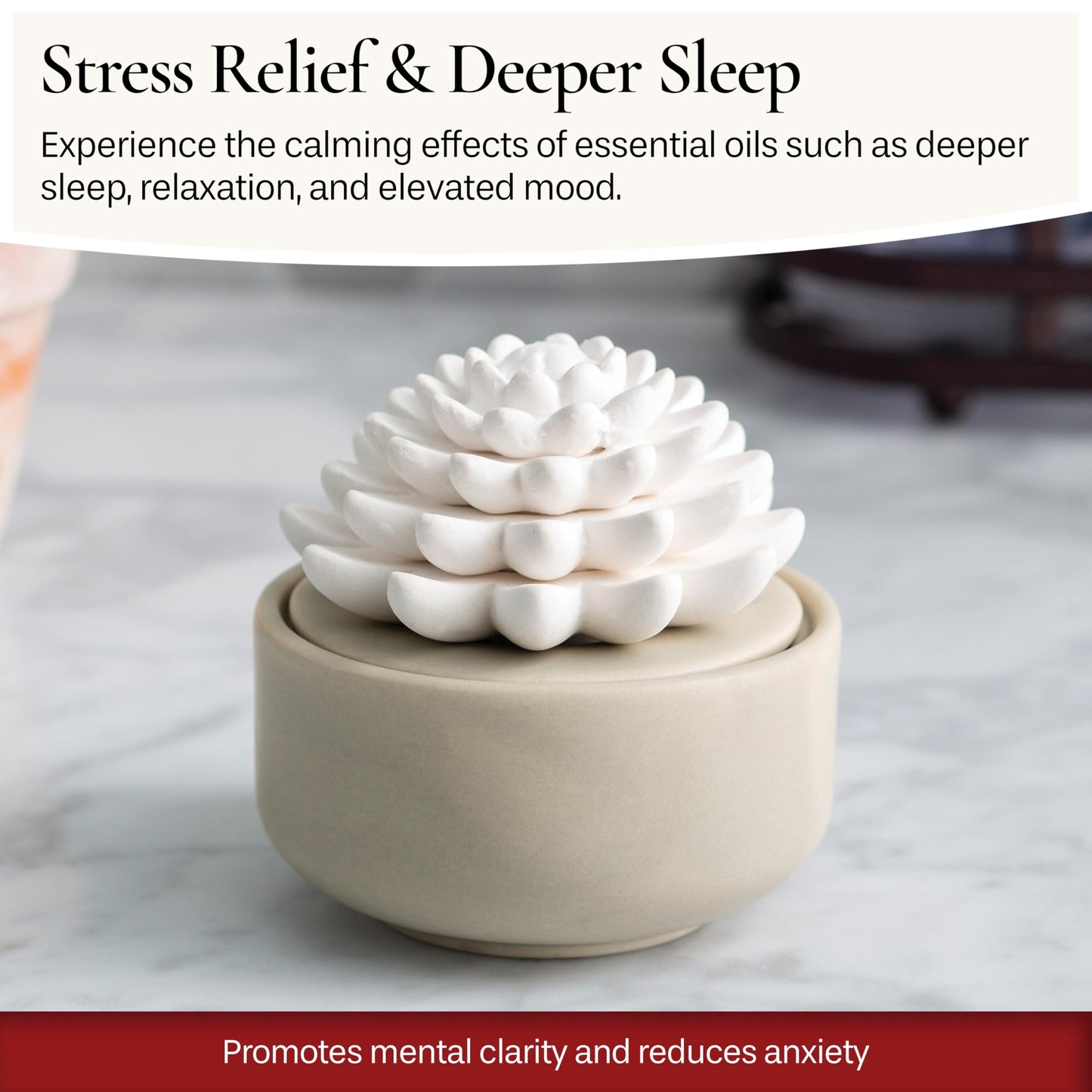 Airomé White Succulent Porcelain Passive Diffuser – Non-Electric, 15ml Peppermint Oil Included
