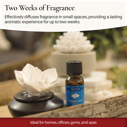 Airomé White Succulent Porcelain Passive Diffuser – Non-Electric, 15ml Peppermint Oil Included