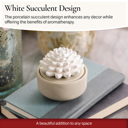 Airomé White Succulent Porcelain Passive Diffuser – Non-Electric, 15ml Peppermint Oil Included