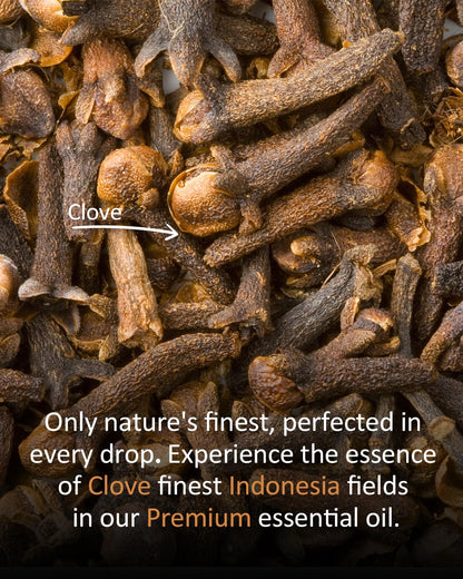Airoomoil Pure Clove Essential Oil - 100% Natural, Premium Grade (4 Fl Oz / 120 ml)