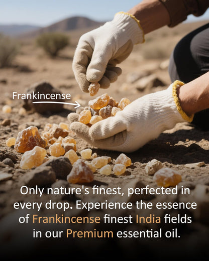 Airoomoil Pure Frankincense Essential Oil 4 fl oz | Aromatherapy, Diffuser & DIY