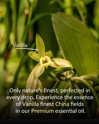 Airoomoil Vanilla Essential Oil 4 oz – 100% Pure & Natural for Diffusers & Aromatherapy
