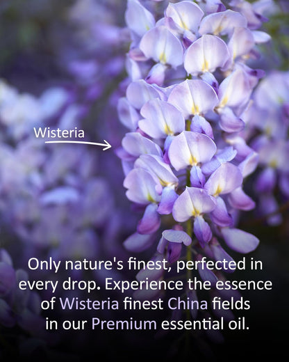 Airoomoil Pure Wisteria Essential Oil - 100% Natural, Premium Grade, 4 oz (120 ml)