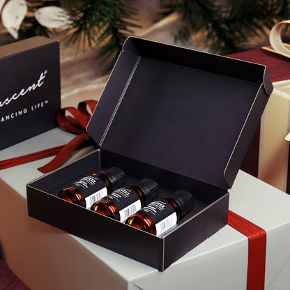 AirScent Holiday Diffuser Oil Gift Set - 3x10 mL (Bourbon Pumpkin Spice, Christmas Wreath, Fireside Spiced Cider)