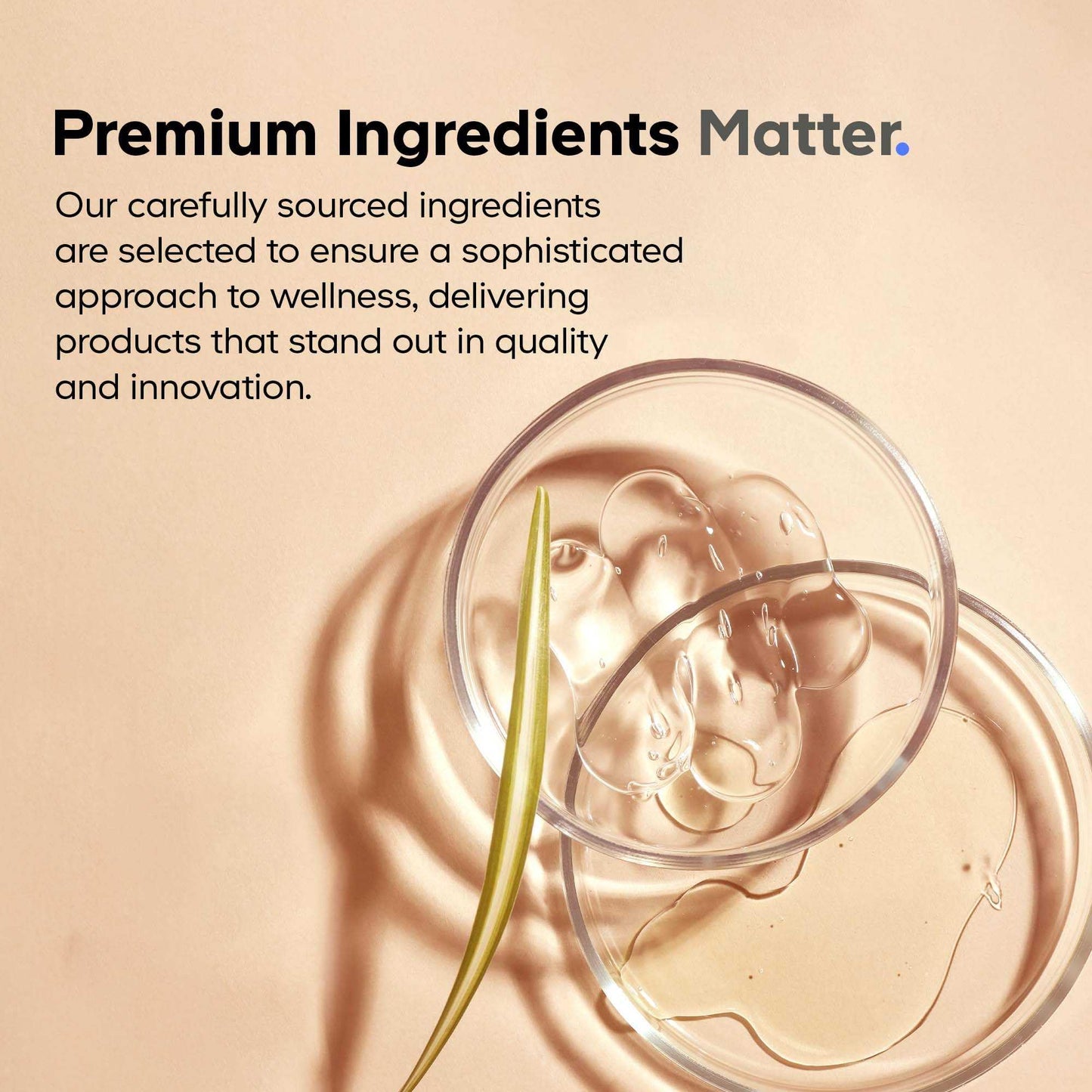 Codeage Akkermansia Muciniphila Probiotic Supplement - 3-Month Supply - 100 Million AFUs - Gluten-Free