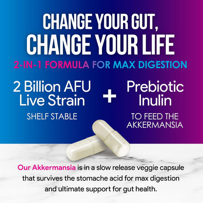 Akkermansia Probiotic Supplement - 2 Billion AFU GLP-1 with Prebiotic Fiber - 60 Capsules