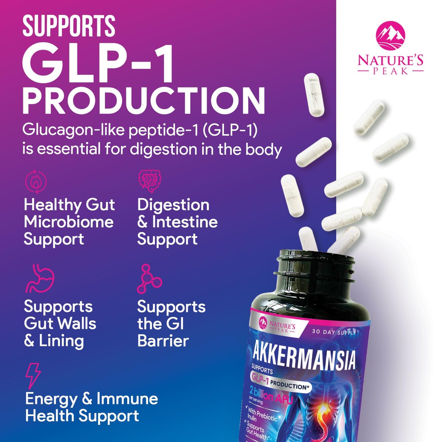Akkermansia Probiotic Supplement - 2 Billion AFU GLP-1 with Prebiotic Fiber - 60 Capsules