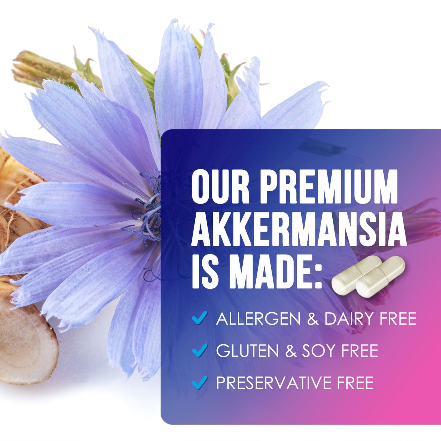 Akkermansia Probiotic Supplement - 2 Billion AFU GLP-1 with Prebiotic Fiber - 60 Capsules