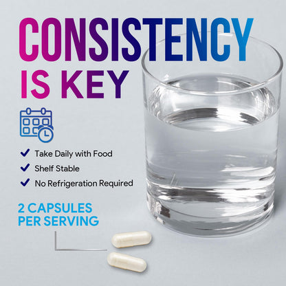 Akkermansia Probiotic Supplement - 2 Billion AFU GLP-1 with Prebiotic Fiber - 60 Capsules