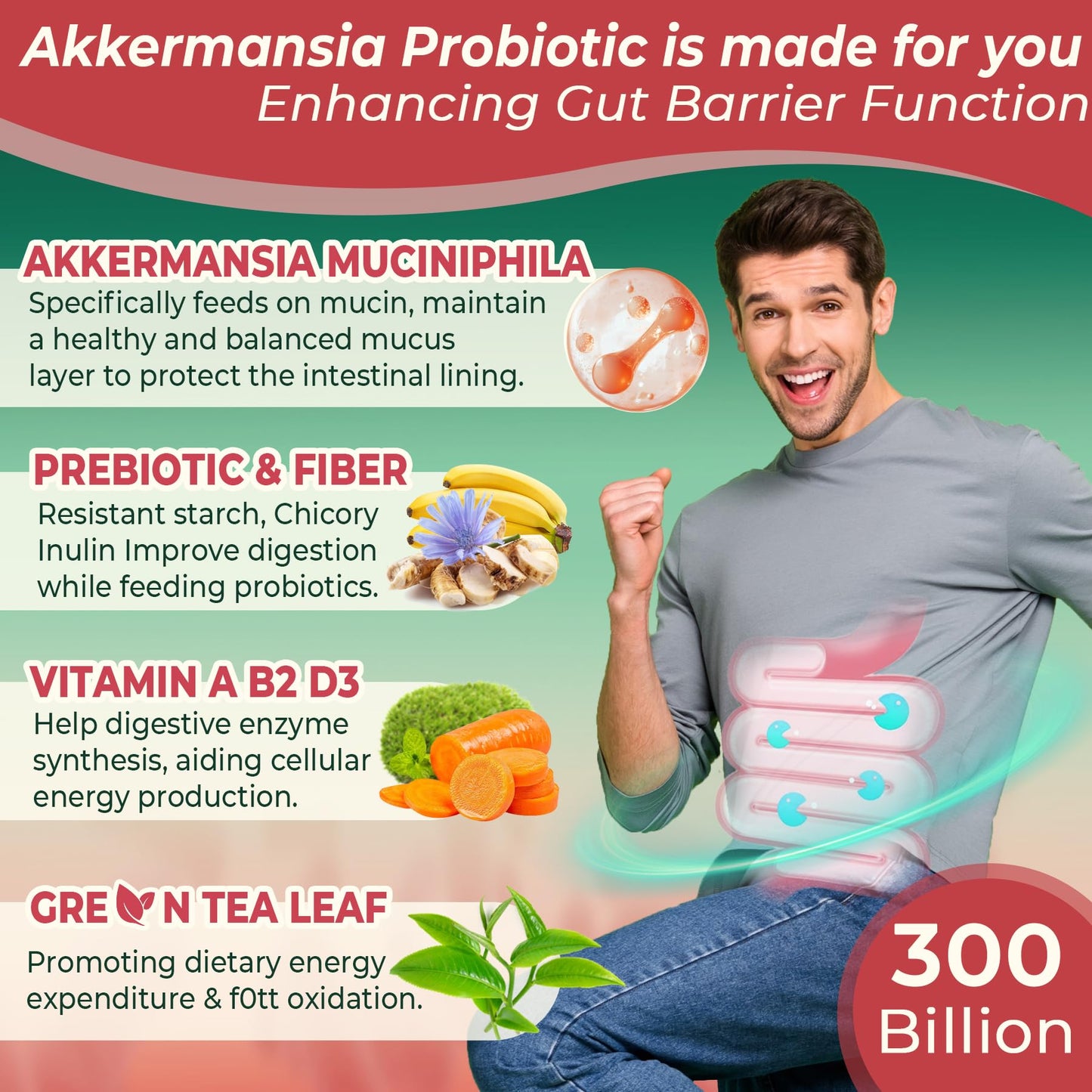 Akkermansia Probiotics Gummies with Prebiotics Fiber | 300 Billion AFU | Gut Health & Metabolism
