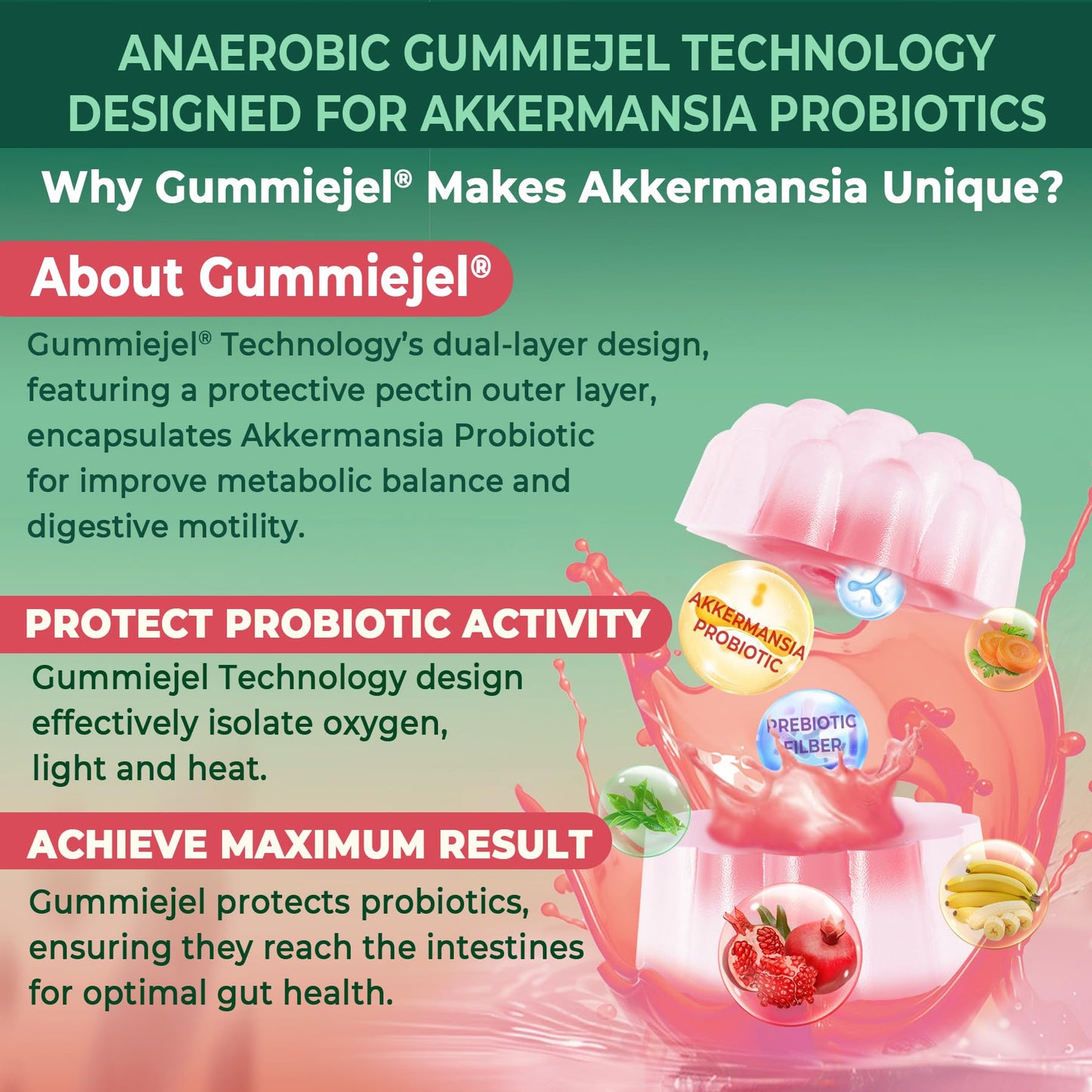 Akkermansia Probiotics Gummies with Prebiotics Fiber | 300 Billion AFU | Gut Health & Metabolism