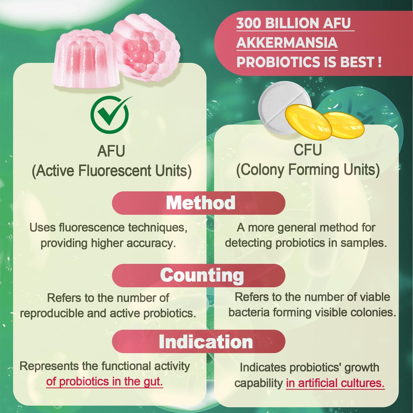 Akkermansia Probiotics Gummies with Prebiotics Fiber | 300 Billion AFU | Gut Health & Metabolism