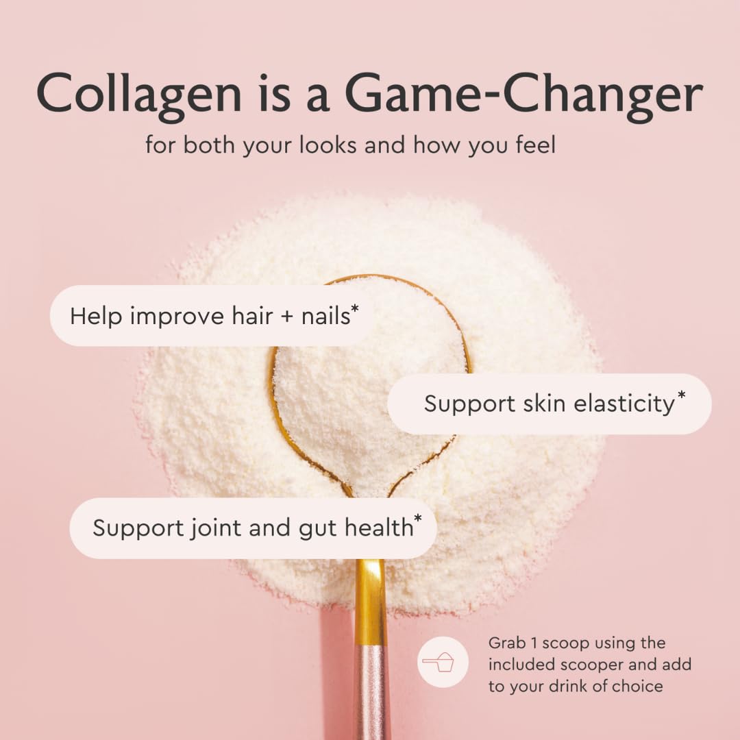 Alaya Naturals Multi Collagen Powder – Chocolate (Type I–X) with MSM & GC