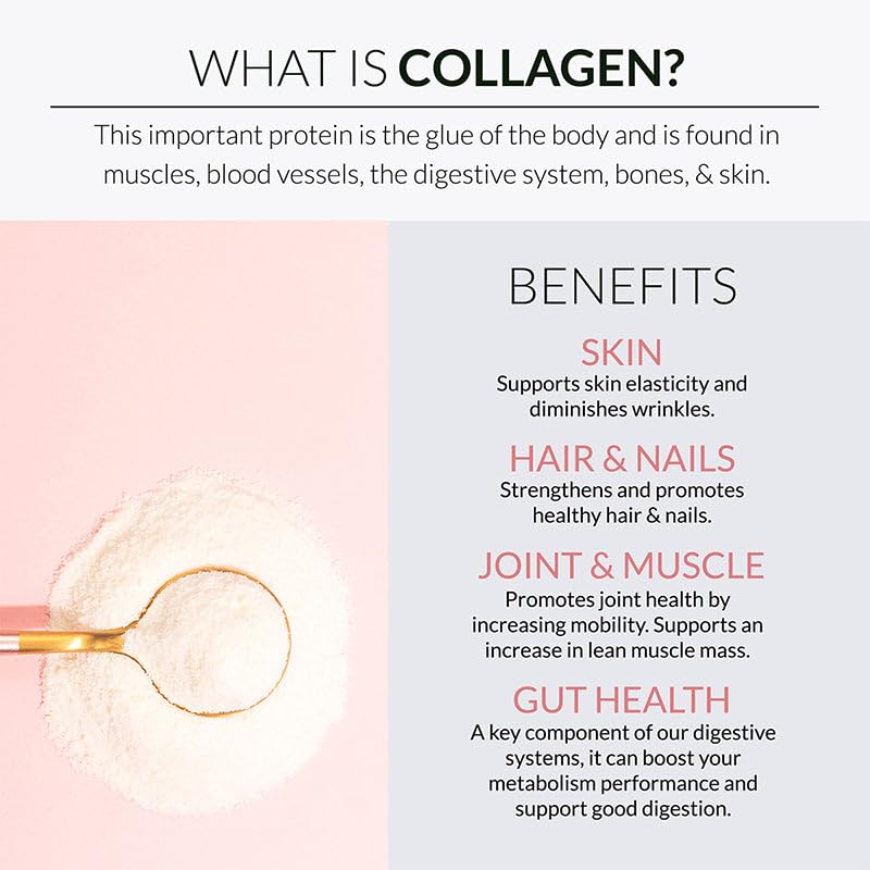 Alaya Multi Collagen Powder – Supports Hair, Skin, Nails & Bone Health | 5 Types Collagen Peptides (20 Servings)