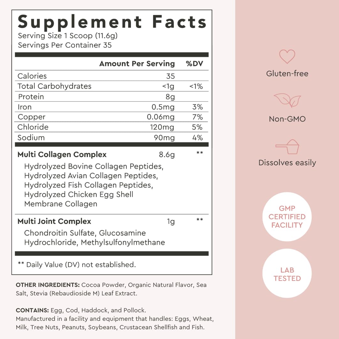 Alaya Naturals Multi Collagen Powder – Chocolate (Type I–X) with MSM & GC