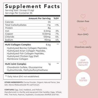 Alaya Naturals Multi Collagen Powder – Chocolate (Type I–X) with MSM & GC