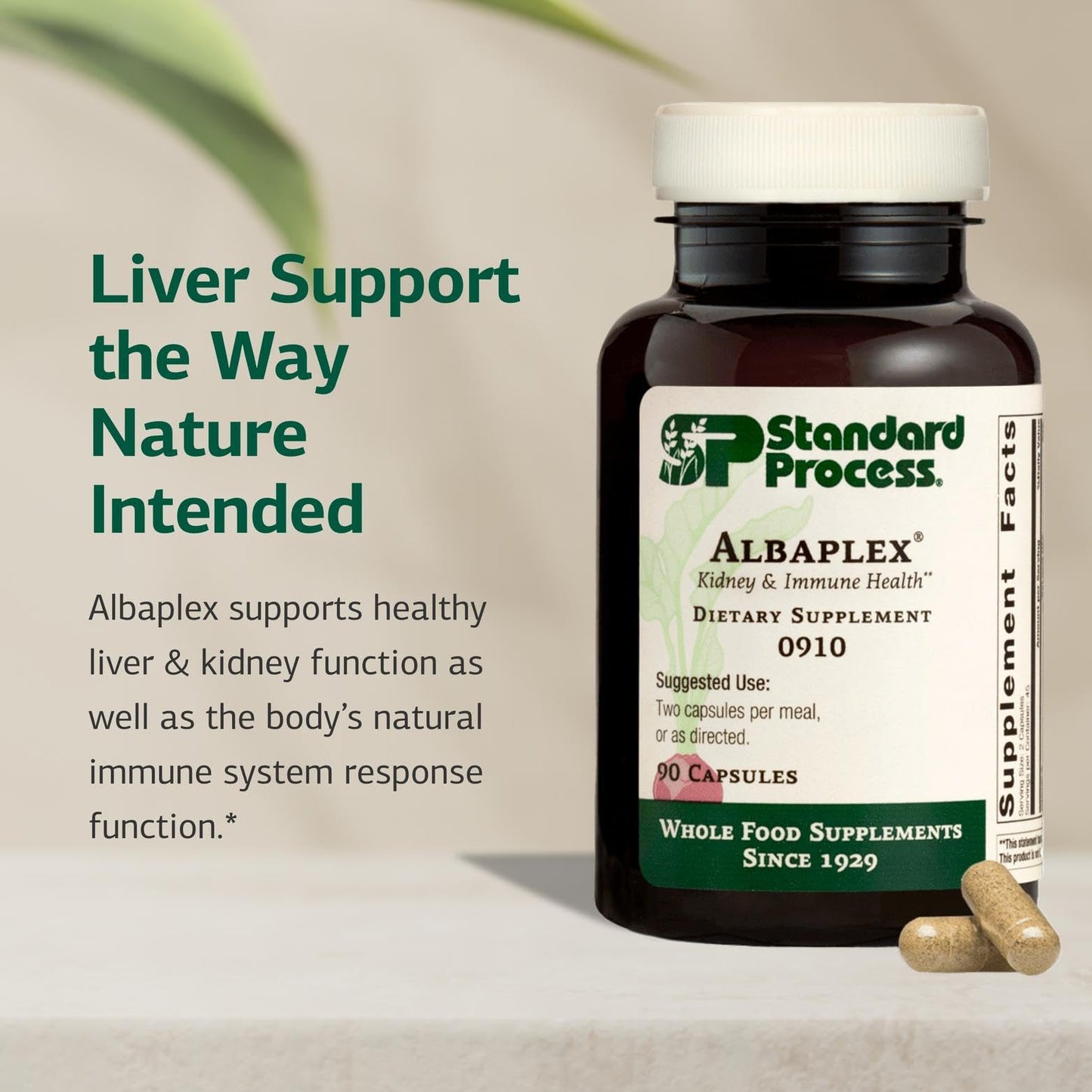 Standard Process Albaplex – Liver & Immune Health Supplement | Non-Dairy | 90 Capsules (45 Servings)