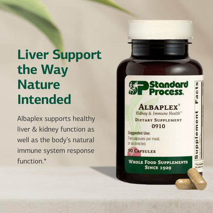 Standard Process Albaplex – Liver & Immune Health Supplement | Non-Dairy | 90 Capsules (45 Servings)