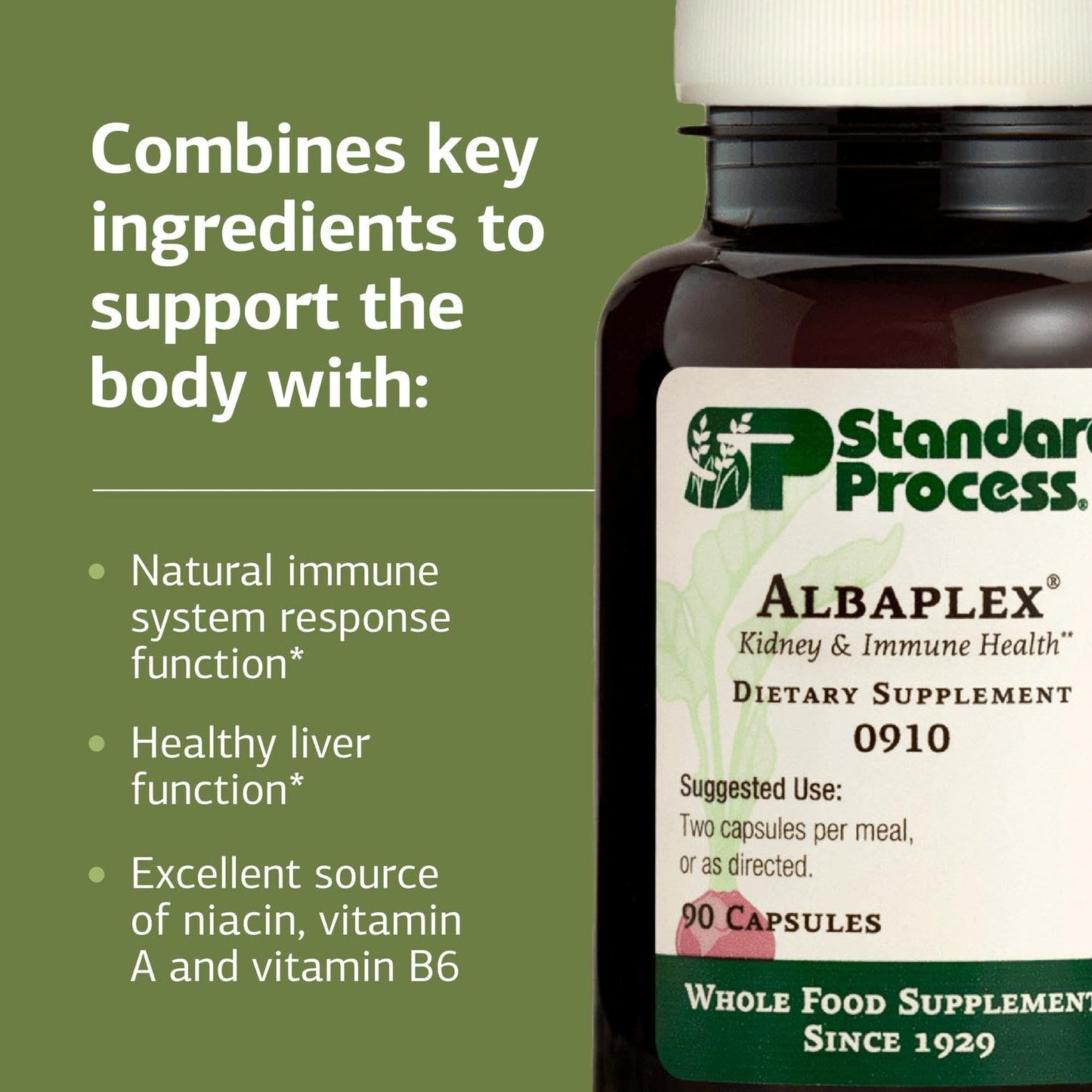Standard Process Albaplex – Liver & Immune Health Supplement | Non-Dairy | 90 Capsules (45 Servings)
