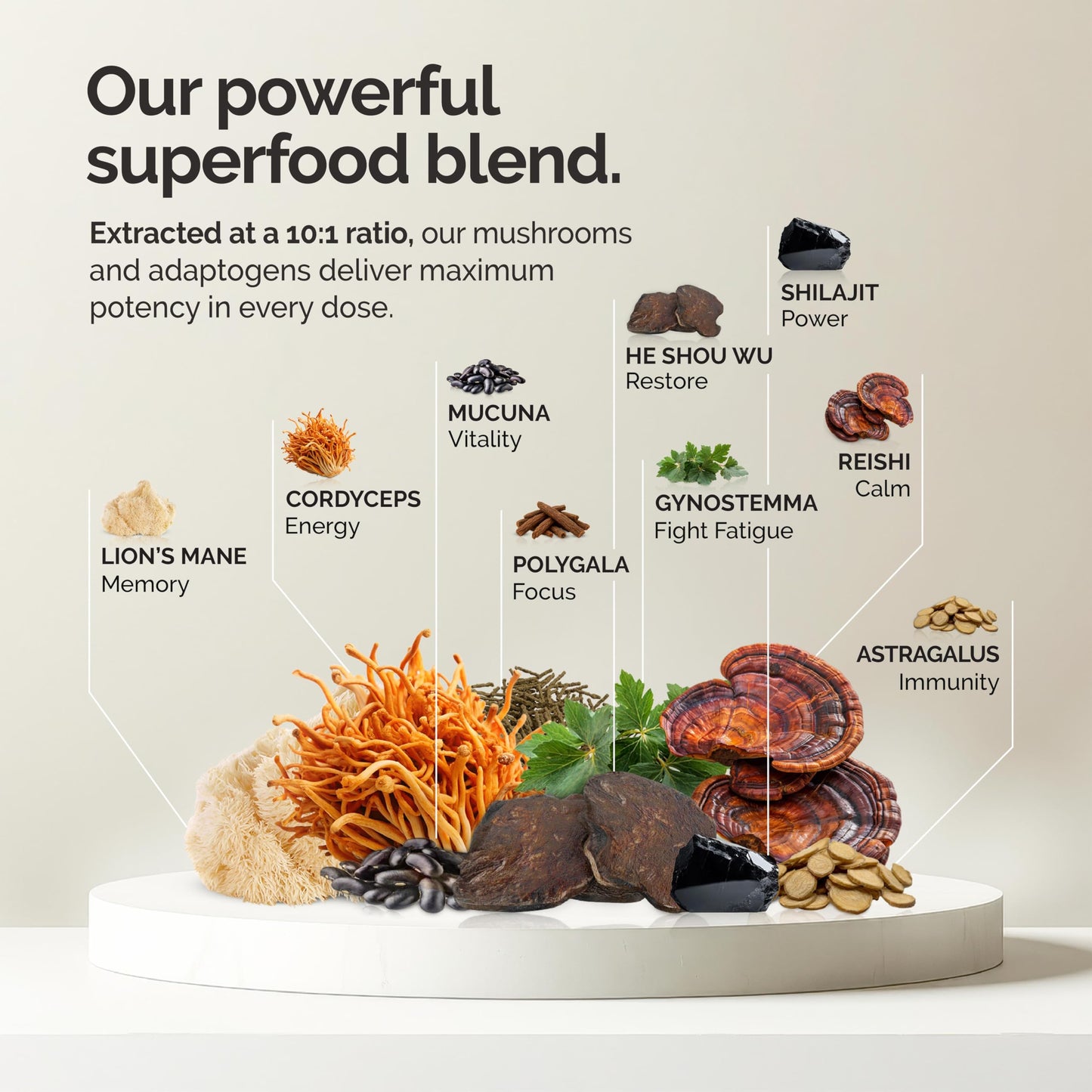 alcami elements: Cacao Mushroom Coffee 10X Concentrated Extract with Lion's Mane, Reishi & Cordyceps — 30 Servings