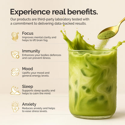 alcami elements Matcha Mushroom Coffee 10X Extract | Lion's Mane, Reishi & Cordyceps | 30 Servings