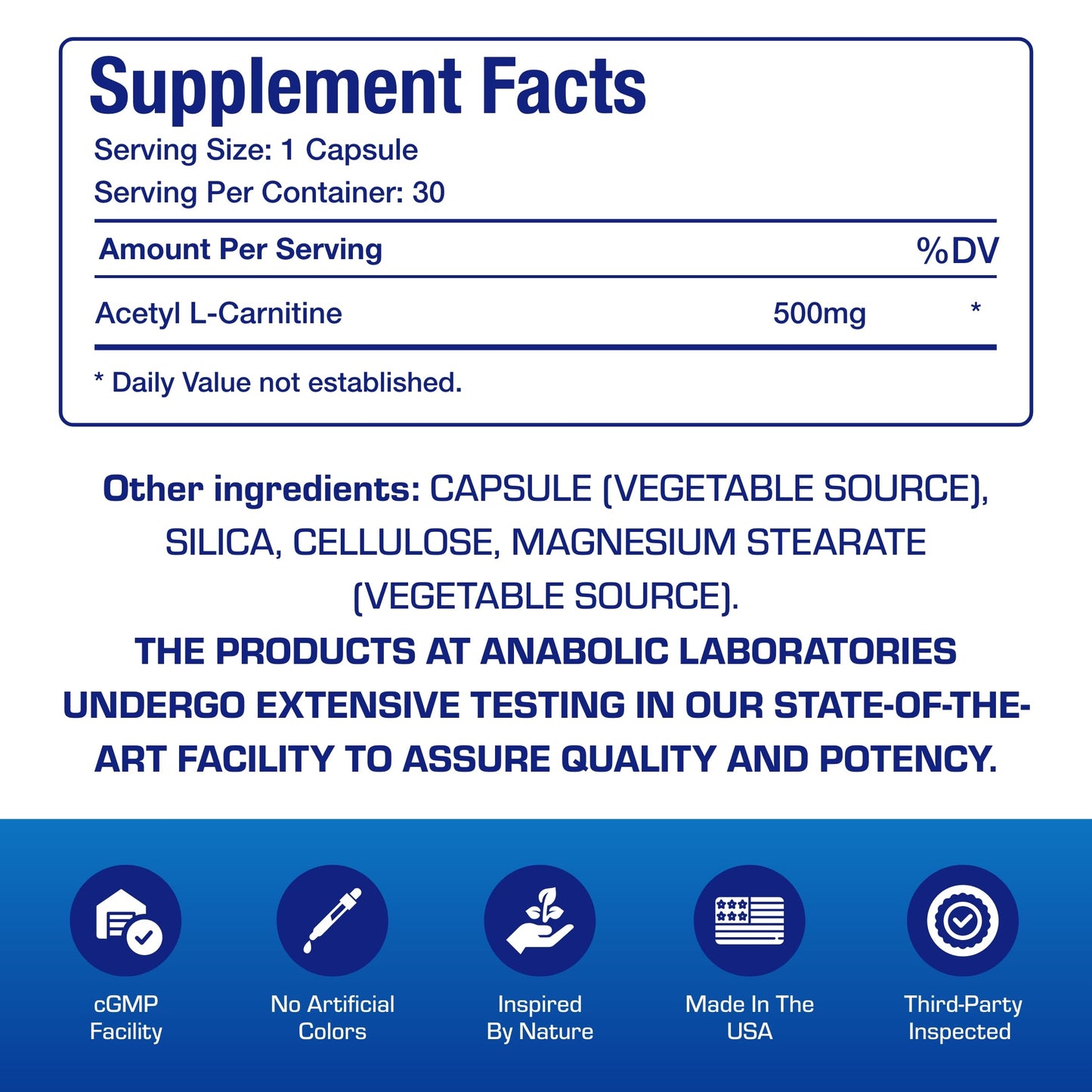 ALCAR 500mg Acetyl L-Carnitine – Brain, Nerve & Memory Support – Vegetarian, Non-GMO, Made in USA – 30 Servings
