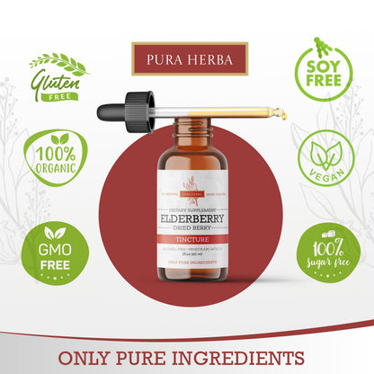 Elderberry Tincture – Organic Elderberry Extract | Immune Support | Alcohol-Free 2 fl oz