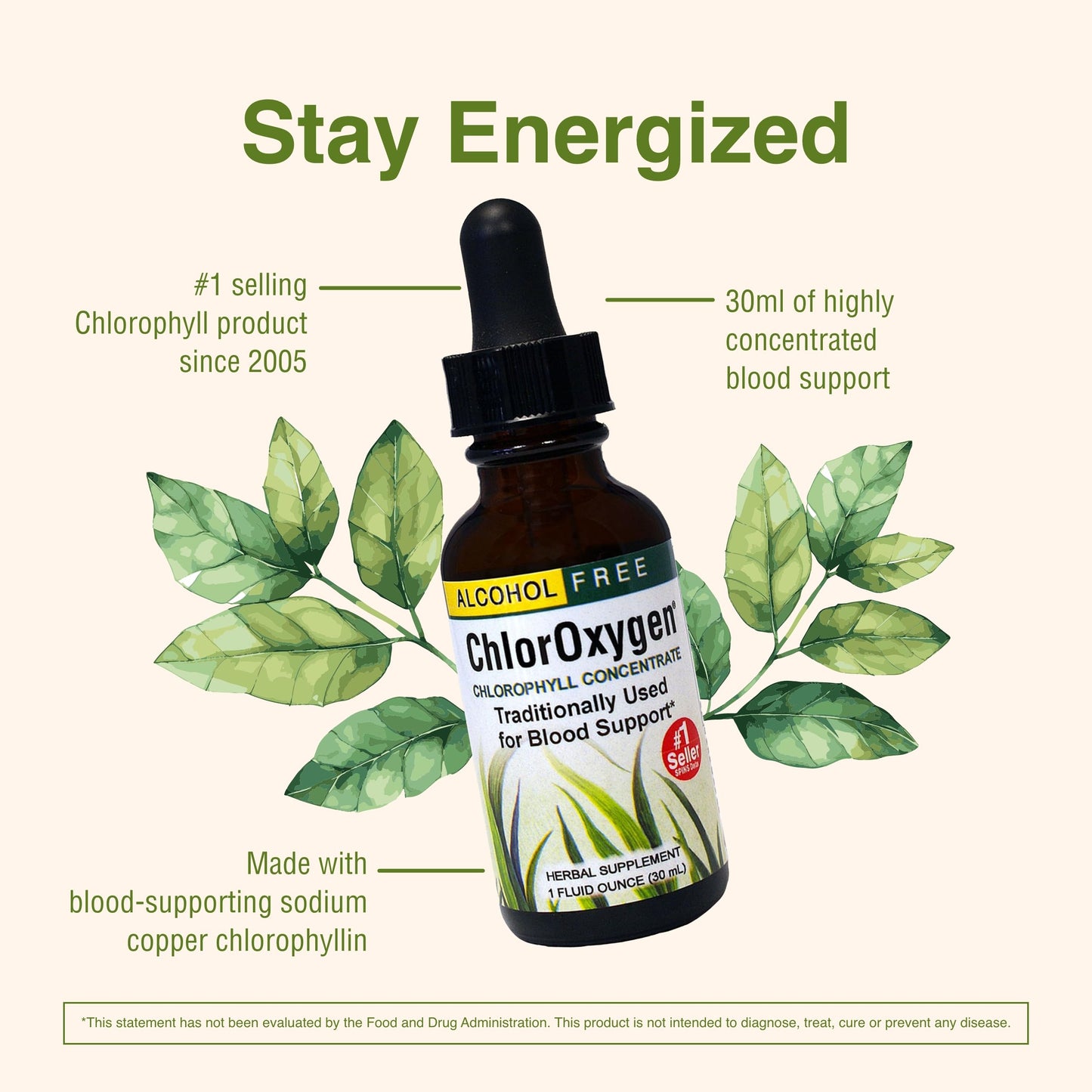 ChlorOxygen Chlorophyll Concentrate by Herbs Etc. – Energy & Blood Health (1 fl oz)