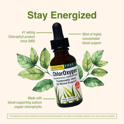 ChlorOxygen Chlorophyll Concentrate by Herbs Etc. – Energy & Blood Health (1 fl oz)