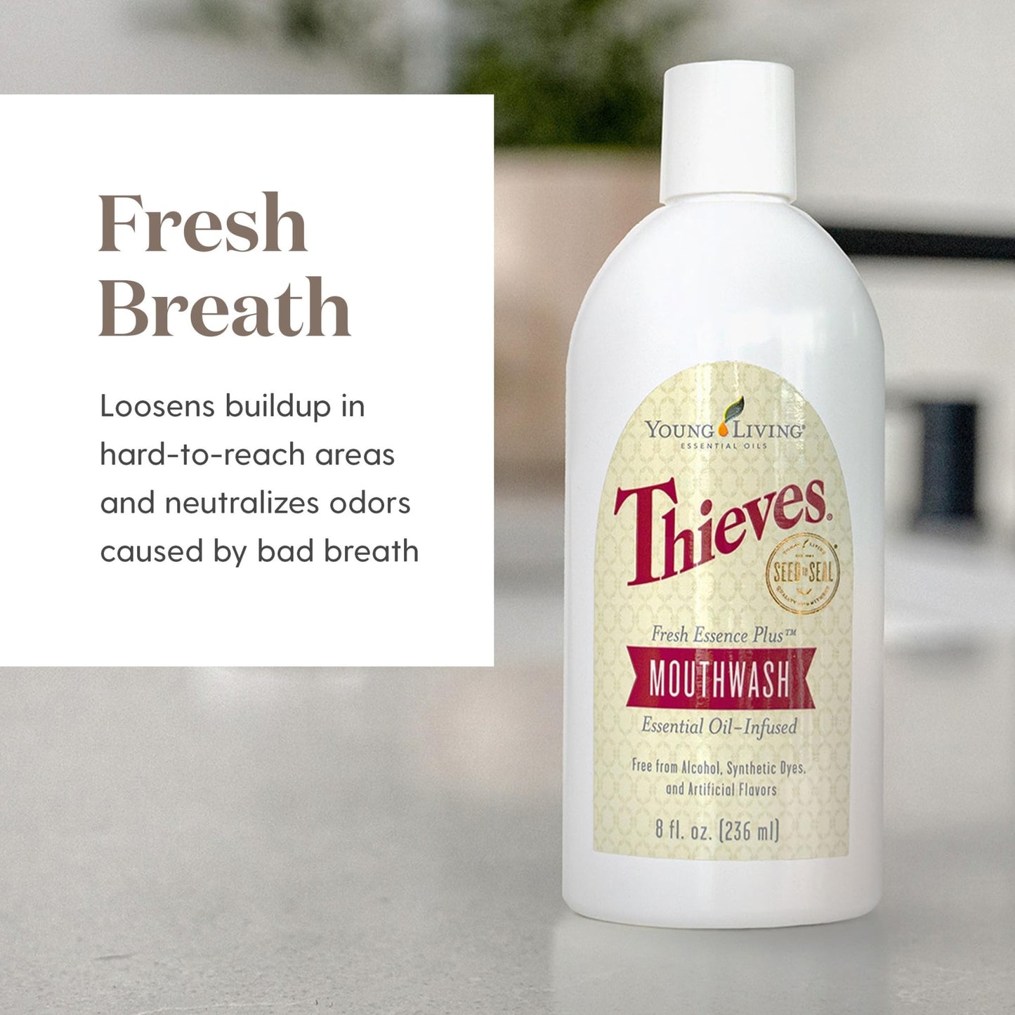 Young Living Thieves Fresh Essence Mouthwash – Alcohol-Free, 8 fl oz