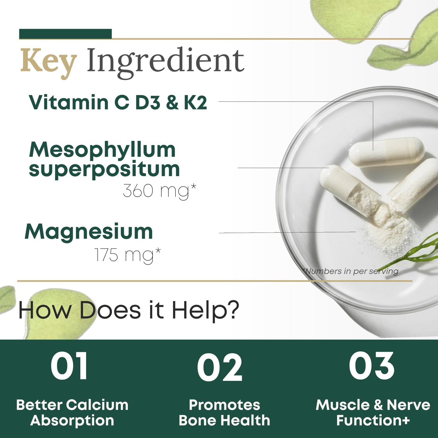 Algae Calcium with Vitamin D3 & K2 MK-7 – Magnesium-Calcium Complex, 90 Capsules