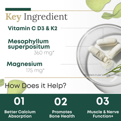 Algae Calcium with Vitamin D3 & K2 MK-7 – Magnesium-Calcium Complex, 90 Capsules