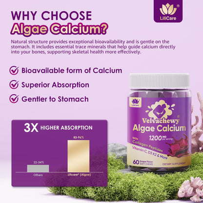 Algae Calcium Soft Chews 1200mg + Collagen | D3/K2 | Plant-Based Calcium Gummies – 60 Count