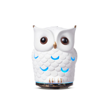 ALIEYE Owl Essential Oils Diffuser - 200ml Ceramic, Waterless Auto-Off, 7-Color LED