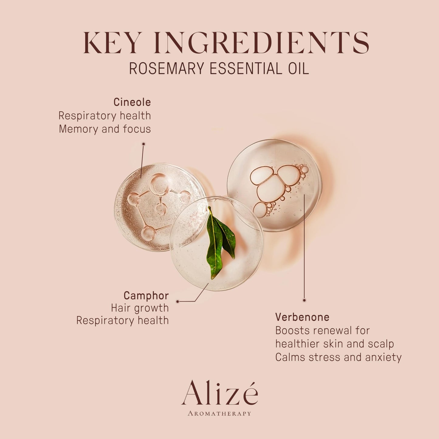 Alizé Aromatherapy Rosemary Essential Oil – USDA Organic, 10ml